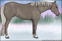Horse Color:Silver Smoky Black 