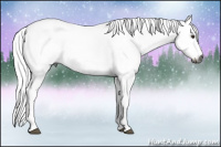 Horse Color:Gray Red Roan Splash Frame Rabicano