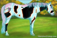 Horse Color:Thunderstruck Watercolor Blue Roan Splash Frame 