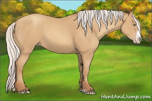 Horse Color:Silver Amber Champagne Frame 