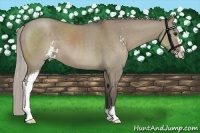 Horse Color:Silver Grullo Sabino 