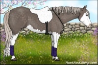 Horse Color:Silver Black Splash 