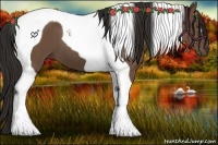 Horse Color:Liver Chestnut Tobiano 