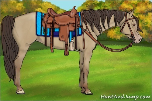Horse Color:Classic Champagne Dun