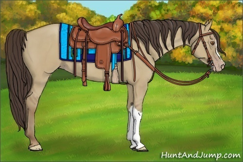 Horse Color:Classic Champagne Dun 