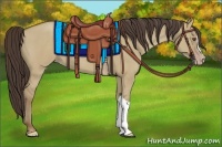 Horse Color:Classic Champagne Dun