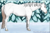 Horse Color:White Spotted Chestnut Sabino Frame Snowflake Varnish