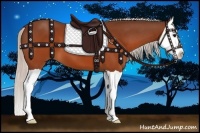 Horse Color:Silver Brown Splash 