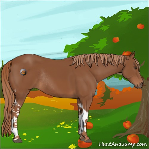Horse Color:Chestnut Tobiano Rabicano