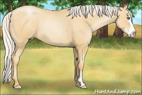 Horse Color:Silver Amber Champagne Pearl Splash Frame 