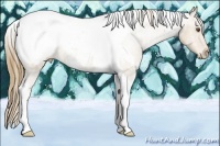 Horse Color:Buckskin Roan Tobiano Near Fewspot 