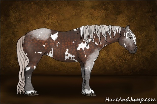 Horse Color:White Spotted Silver Bay