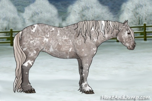 Horse Color:White Spotted Silver Bay Ice Roan Rabicano 