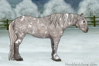 Horse Color:White Spotted Silver Bay Ice Roan Rabicano