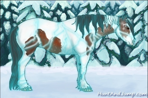 Horse Color:Thunderstruck Bay Sabino Tobiano 