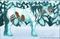 Horse Color:Thunderstruck Bay Sabino Tobiano
