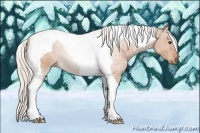 Horse Color:Silver Bay Tobiano
