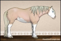 Horse Color:Watercolor Silver Sable Champagne Dun Splash 