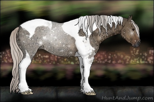Horse Color:Silver Grullo Ice Tobiano