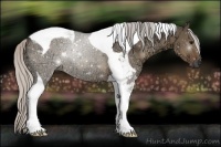 Horse Color:Silver Grullo Ice Tobiano