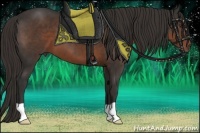 Horse Color:Liver Chestnut