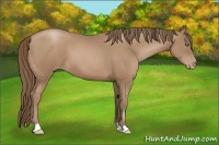 Horse Color:Black Pearl