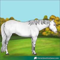 Horse Color:White Spotted Silver Bay Chinchilla Onyx Frame 