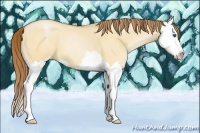 Horse Color:Bay Pearl Dun Sabino Splash 