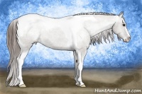 Horse Color:Grullo Sabino Tobiano Varnish 