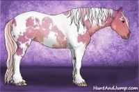 Horse Color:Watercolor White Spotted Silver Black Tobiano Rabicano