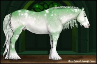 Horse Color:Watercolor White Spotted Silver Blue Onyx Chinchilla Splash Rabicano 