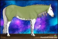 Horse Color:Watercolor Chestnut Splash 