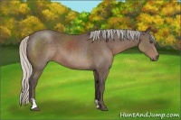 Horse Color:Silver Black Sabino 