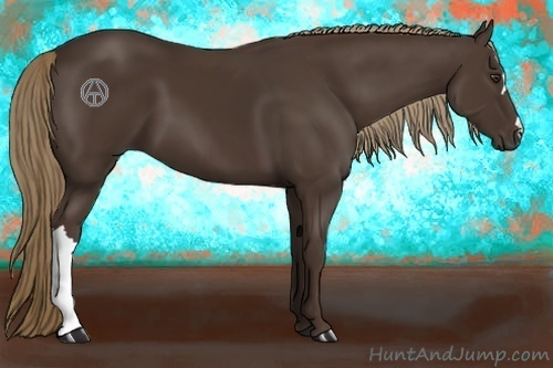 Horse Color:Liver Chestnut 