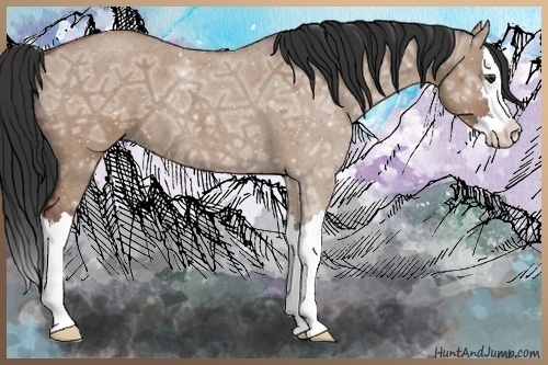 Horse Color:Bay Ice Roan Dun Splash 