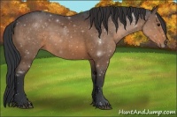 Horse Color:Brown 