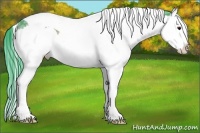 Horse Color:Watercolor Bay Ice Splash Tobiano 