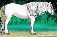 Horse Color:Watercolor Amber Champagne Ice Splash Varnish
