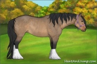 Horse Color:Brown Dun Rabicano