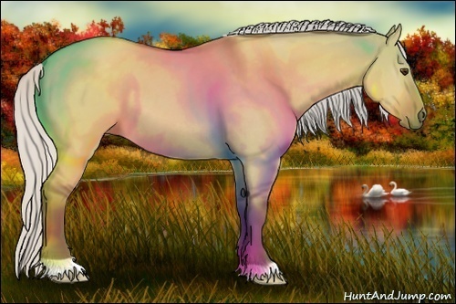 Horse Color:Silver Buckskin Dun 