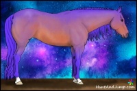 Horse Color:Watercolor Bay Roan 
