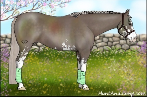 Horse Color:Silver Black Sabino 