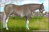 Horse Color:Silver Black Sabino 