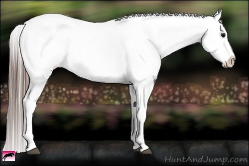 Horse Color:Black Tobiano Frame Blanket 