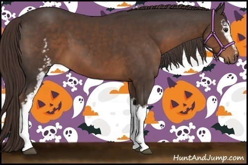 Horse Color:White Spotted Liver Chestnut 