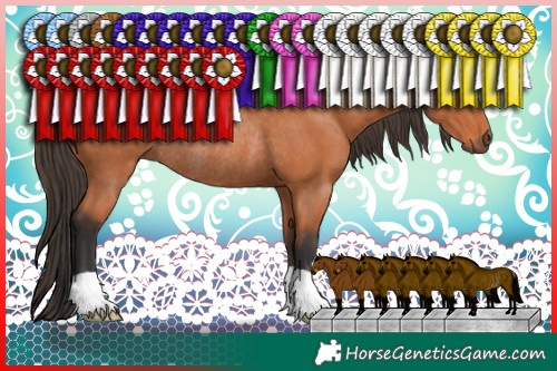 Horse Color:Brown Rabicano 