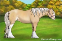 Horse Color:Silver Sable Champagne Sabino