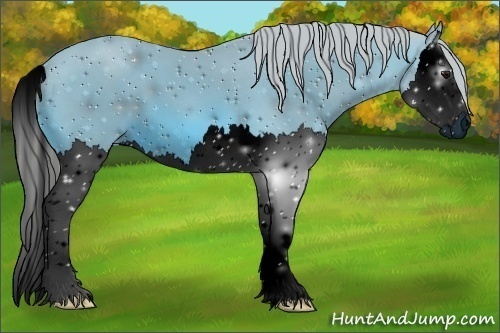 Horse Color:ERROR: UNKNOWN ANOMALY