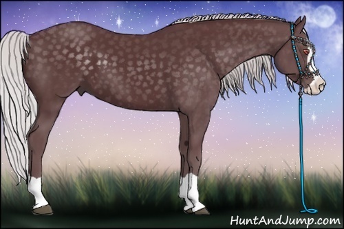 Horse Color:Chocolate Silver Black Chinchilla Splash 