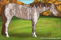 Horse Color:Chestnut Ice 